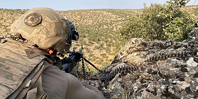 Mardin'de 'Eren Abluka-31 Şehit Jandarma Uzman Çavuş Ali Erdinç' operasyonu başlatıldı