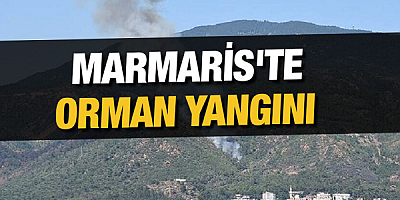  Marmaris'te orman yangını