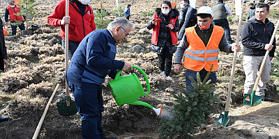 Memduh Büyükkılıç: ''Üç yılda 300 bin fidan diktik''