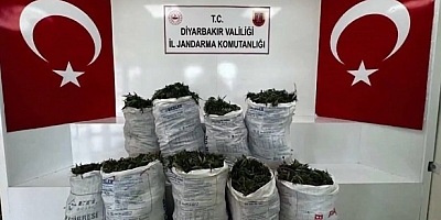 Narkoçelik-46 operasyonlarında 42 kişi tutuklandı
