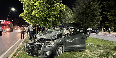 Niğde'de refüjdeki ağaçlara çarpan otomobilin sürücüsü öldü