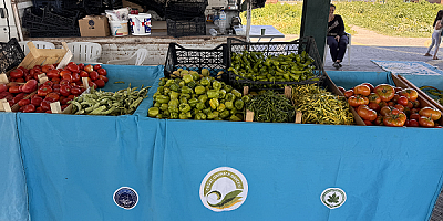 Organik Lezzetin Adresi; Büyükşehir Doğal Ürünler Bahçesi