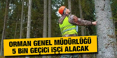 Orman Genel Müdürlüğü 5 bin geçici işçi alacak
