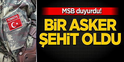Pençe-Kaplan Operasyonu bölgesinde bir asker şehit oldu