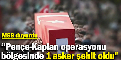 Pençe-Kaplan Operasyonu bölgesinde yaralanan asker  şehit oldu
