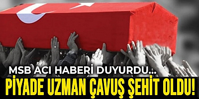 Pençe-Kilit operasyonu