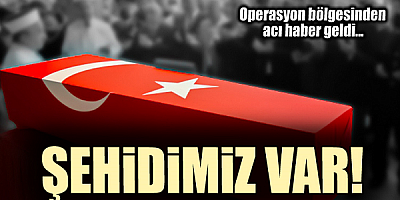 Pençe-Kilit Operasyonu bölgesinde bir askerimiz şehit oldu
