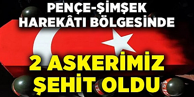 Pençe-Şimşek Harekatı bölgesinde iki asker şehit oldu