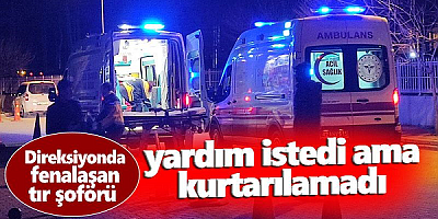 Seyir halinde fenalaşan, tır sürücüsü kaldırıldığı hastanede hayatını kaybetti