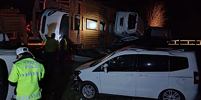 Sıfır kilometre hafif ticari araçları taşıyan tır devrildi