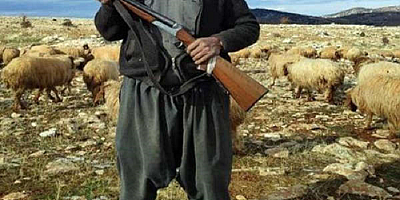 Sivas'ta 3 kişiyi av tüfeğiyle öldüren çoban tutuklandı