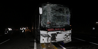 Sivas'ta yola çıkan at kazaya neden oldu: 15 yaralı