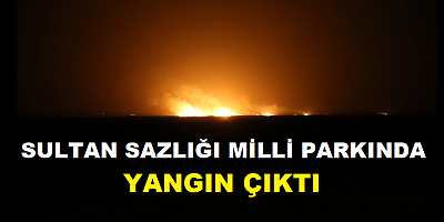 Sultan Sazlığı Milli Parkı'nda yangın çıktı