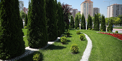 Talas'a 5 yılda 500 bin ağaç