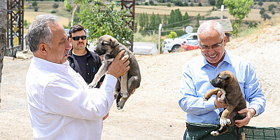 Talas Kaymakamı ve Başkan Yalçın Patievi’nde incelemelerde bulundu