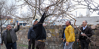 Talas'lı çiftçilere uygulamalı aşı ve budama eğitimi