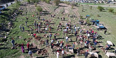 Talas personelinden Ali Dağı’nda fidan dikimi
