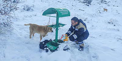Talas'ta can dostlar için 40 beslenme noktası