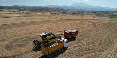 Talas'ta hasat vakti