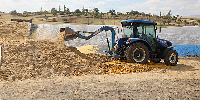 Talas'ta kabak posaları yeme dönüşüyor