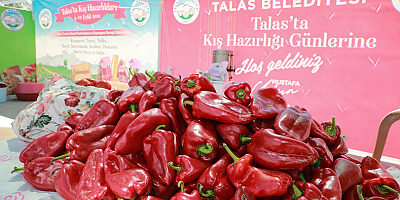 Talas'ta kış hazırlıkları başlıyor