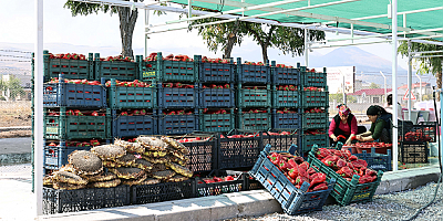Talas’ta Kışa Hazırlık günleri başladı