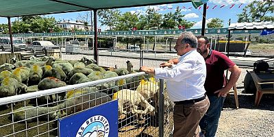  Talas'ta kurban satış ve kesim yerleri belirlendi