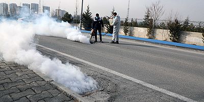 Talas'ta sinek ve haşerata erken önlem