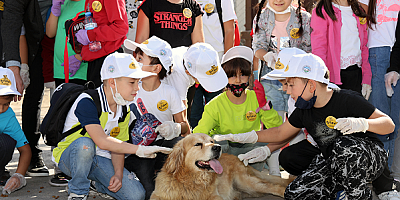 Talas'ta Türkiye'ye örnek pati evi