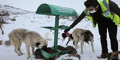 Talas'tan can dostlara şefkat eli