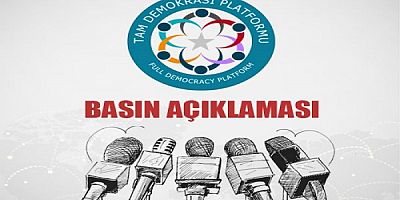 Tam Demokrasi Platformundan ''Terörsüz Türkiye'' süreci değerlendirmesi