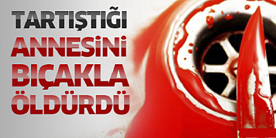 Tartıştığı annesini bıçaklayarak öldürdü