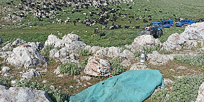 Tartıştığı kayınbiraderini bıçaklayarak öldürdü
