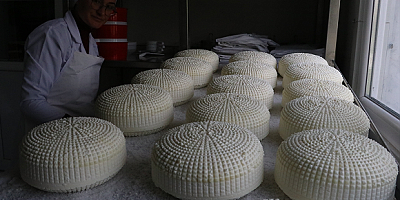 Tescilli Çerkez peyniri, Kalkınma Ajansı desteğiyle kurulan tesiste üretiliyor