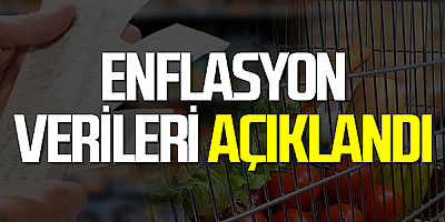 TÜİK'e göre yıllık enflasyon yüzde 39,05