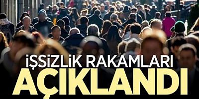 TÜİK mart ayına ilişkin iş gücü istatistiklerini açıkladı