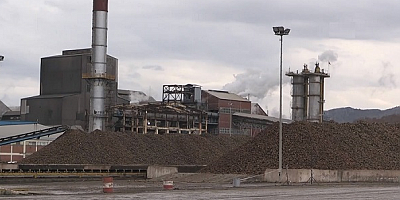 Turhal Şeker Fabrikası'nda bu yıl 103 bin ton şeker üretilecek