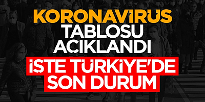 Türkiye'de 108 bin 563 kişinin Kovid-19 testi pozitif çıktı, 266 kişi hayatını kaybetti