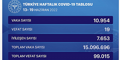 Türkiye'de 13-19 Haziran'da 10 bin 954 kişinin Kovid-19 testi pozitif çıktı