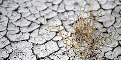 Türkiye'de arazilerin yüzde 45'i erozyon nedeniyle çölleşme riski altında bulunuyor