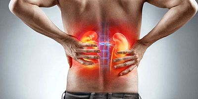 Türkiye'de her 7 kişiden birinde böbrek rahatsızlığı bulunuyor