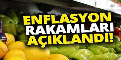Türkiye İstatistik Kurumuna göre aylık enflasyon yüzde 2,88 oldu
