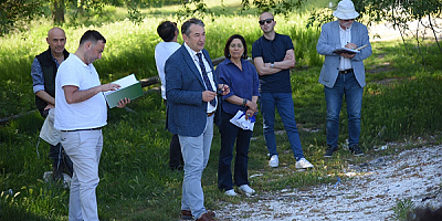 TÜRKİYE’NİN SİGORTASI: KIZILÇAM ORMANLARI