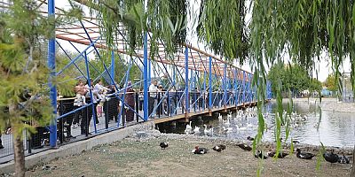 Ücretsiz Hayvanat Bahçesi Uygulamasına, Dünya Hayvanları Koruma Günü’nde Yoğun İlgi