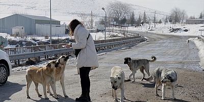 Üniversite öğrencileri 