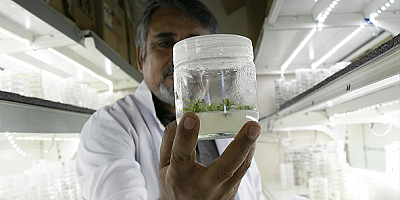 Üniversitenin biyoteknoloji laboratuvarından tohumculuğa bilgi ve istihdam desteği