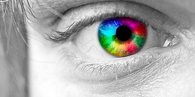 Uzun Süre Ekrana Bakmak Miyop Hastalığını Artırıyor