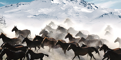 Valilik ve Büyükşehir'den 