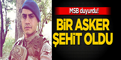 Van'da teröristlerle çıkan çatışmada bir asker şehit oldu