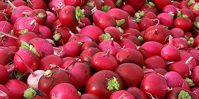 Vitamin deposu turpun faydalarını biliyormusunuz?